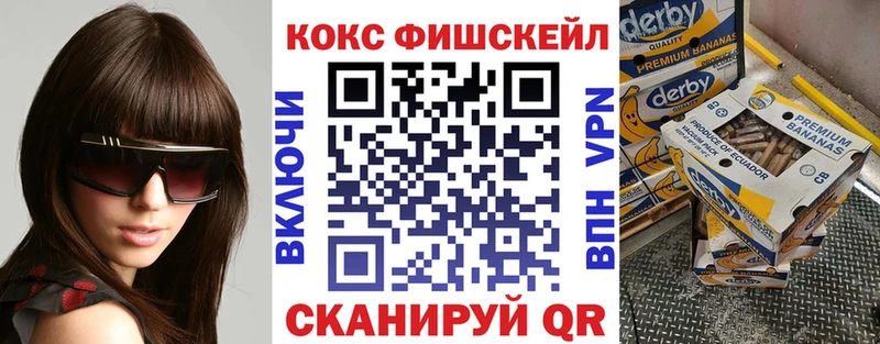 Купить закладки  Гдов  Кокаин 97% 
