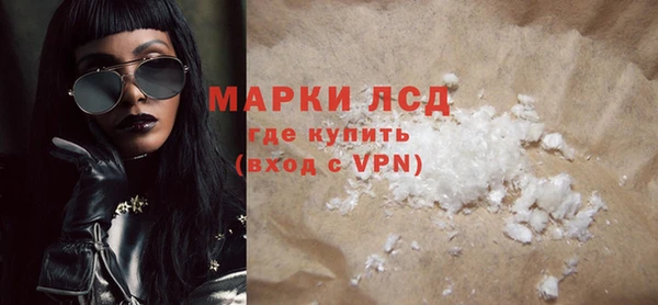 сатива Каменка