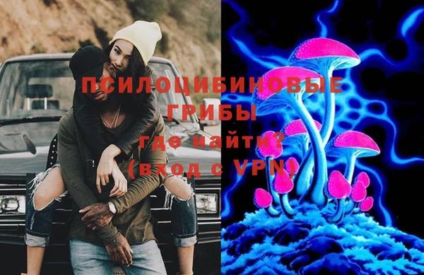 не бодяженный Каменск-Шахтинский