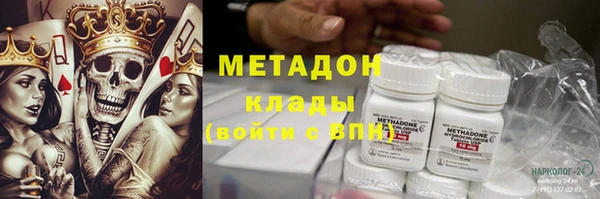 сатива Каменка