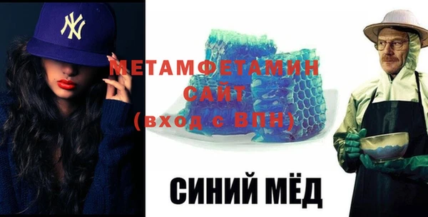 сатива Каменка