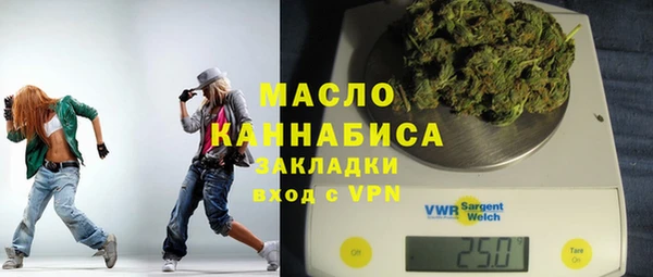 сатива Каменка