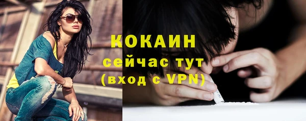 сатива Каменка