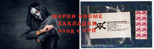 сатива Каменка