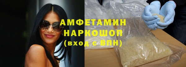 сатива Каменка