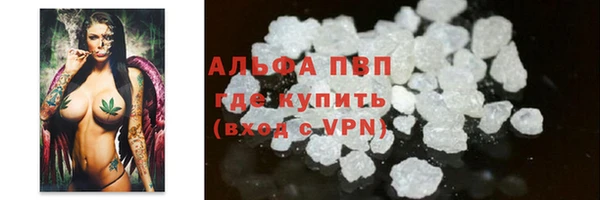 сатива Каменка