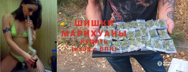 сатива Каменка