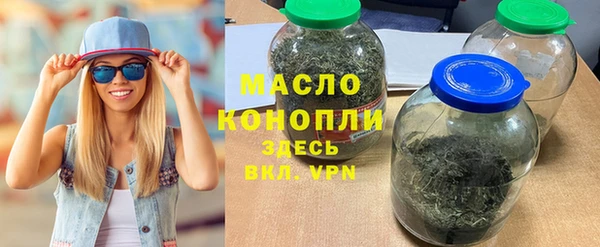 сатива Каменка