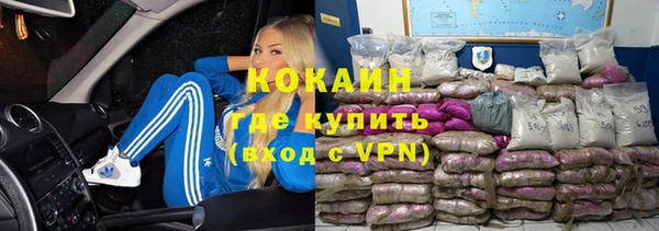 сатива Каменка
