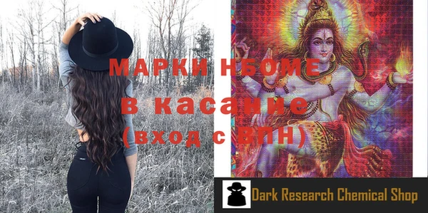 сатива Каменка