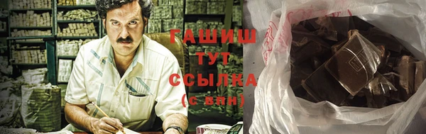 сатива Каменка