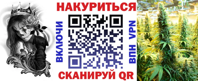 Купить закладки  Гдов  Канабис сатива 